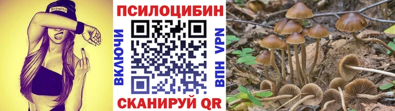 Галлюциногенные грибы Psilocybe  kraken как зайти  Нерехта 