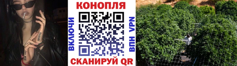 Канабис Amnesia купить цена Нерехта